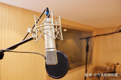 惠州企业宣传片影视制作配音技巧 让品牌声音直抵人心